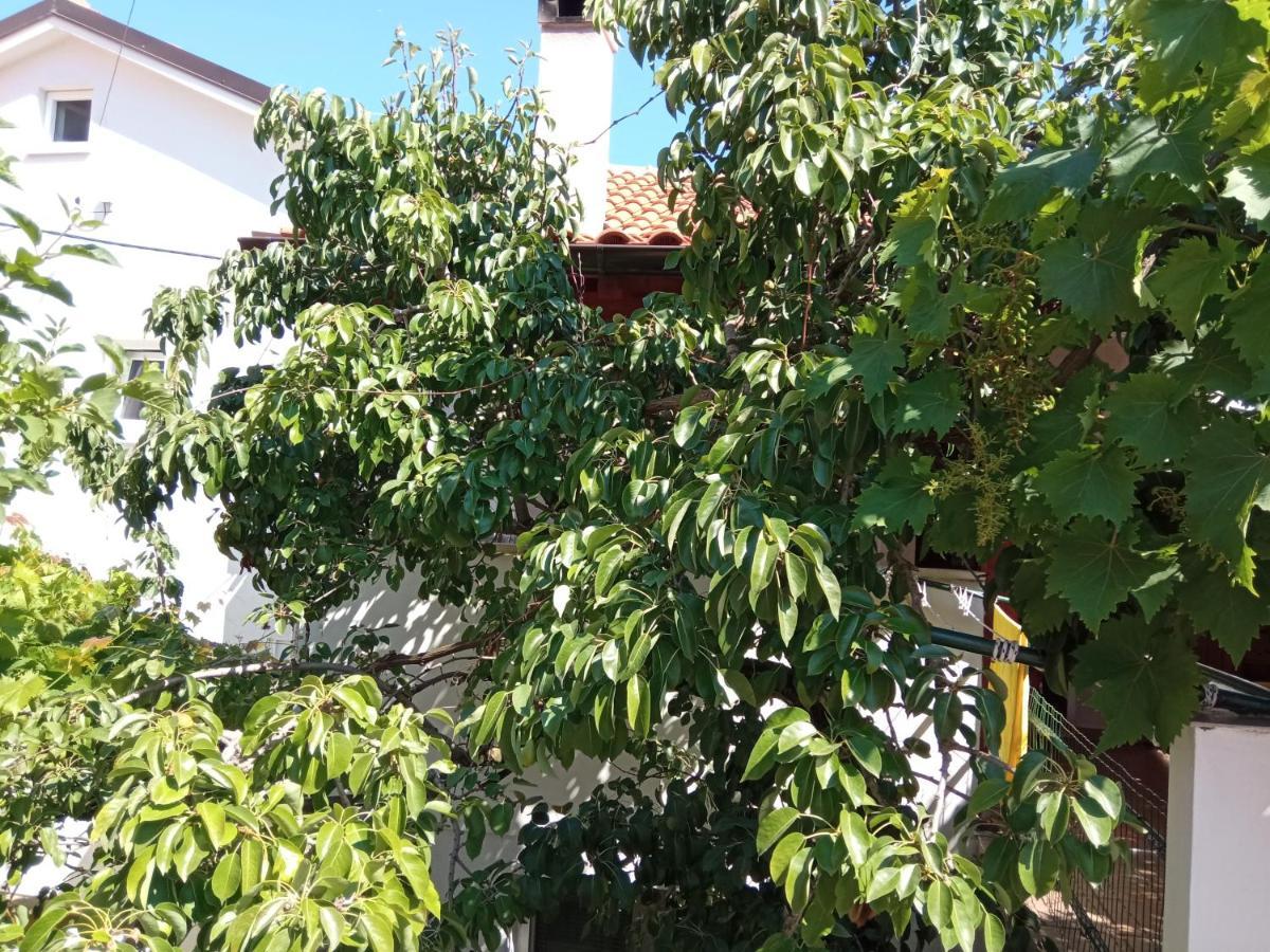 Apartments Antares Mali Lošinj Buitenkant foto