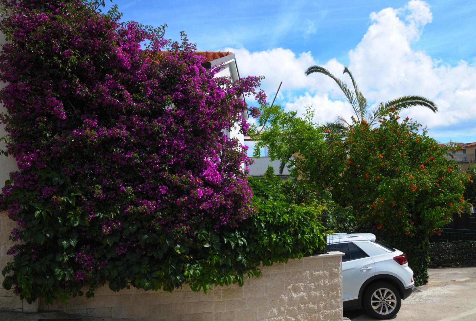 Apartments Antares Mali Lošinj Buitenkant foto
